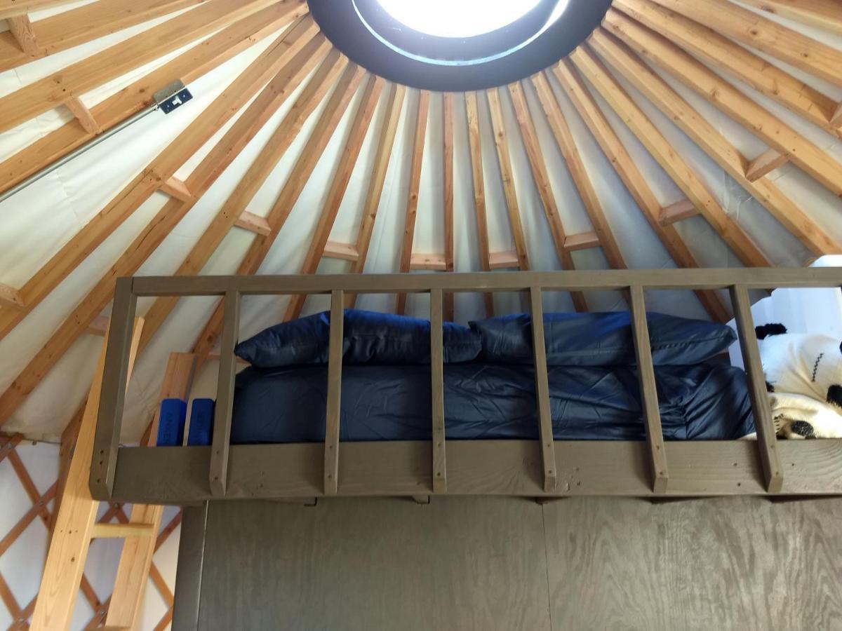 Livingston Manor Yurt Hotel Parksville Eksteriør billede